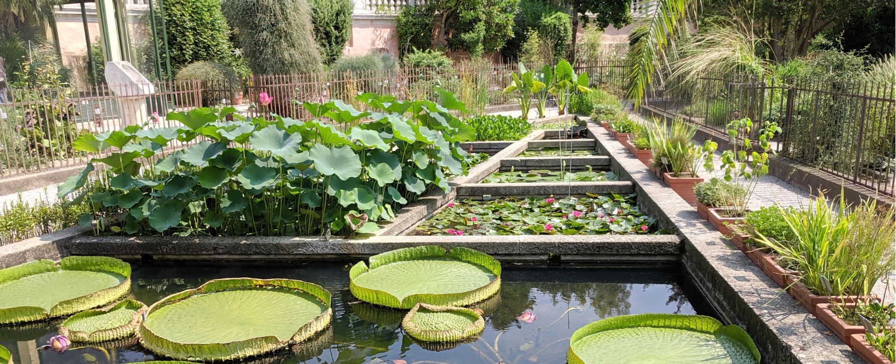 Progetto senza titolo 2